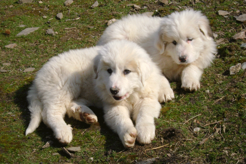 Fabienne-Fasko-I-800b-bb