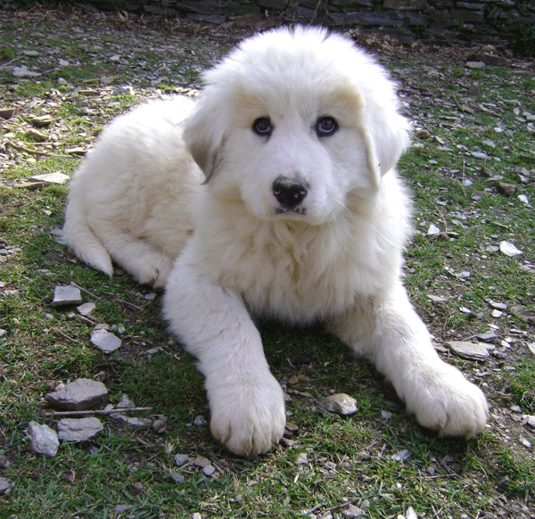 Fabienne-III-quad-bb