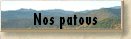 Nos patous