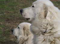 Freya und Victor 2010